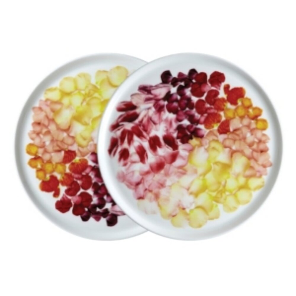 Petals 8.75" Bone China Salad or Dessert Plate
